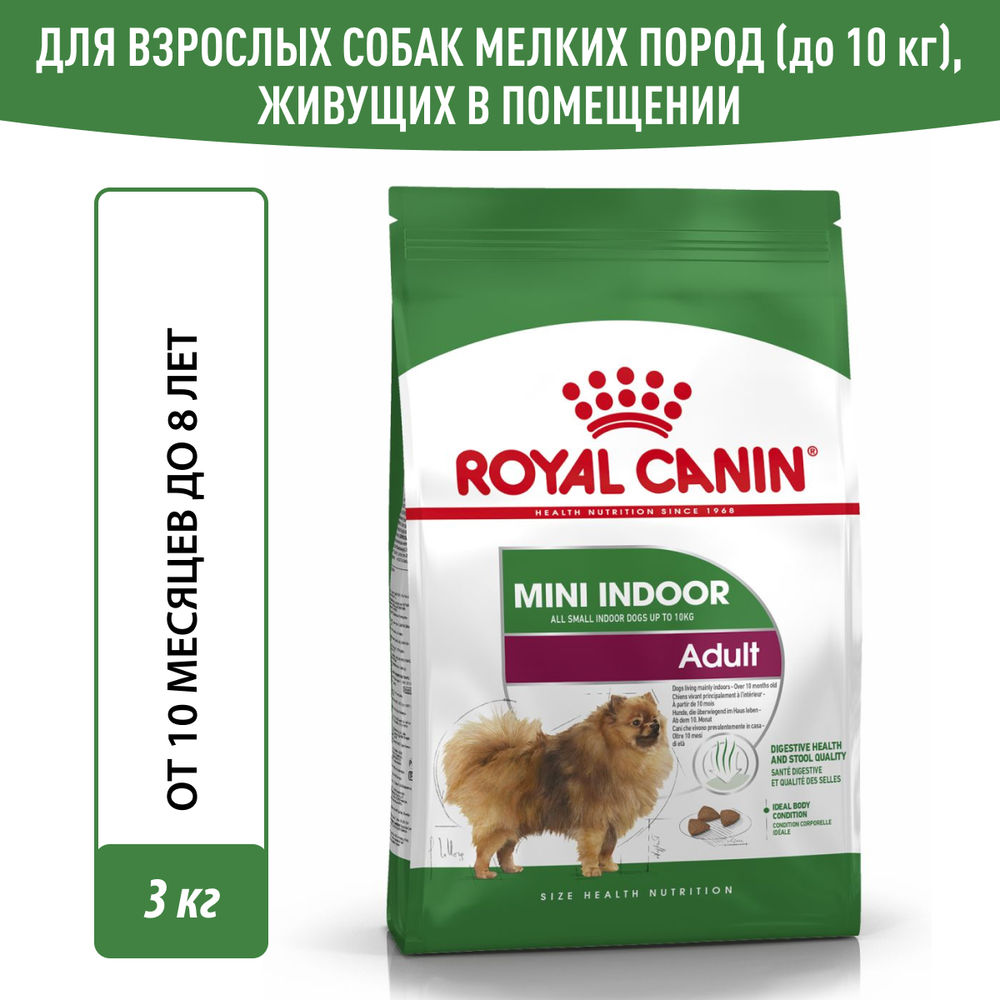 Indoor royal shop canin 10kg